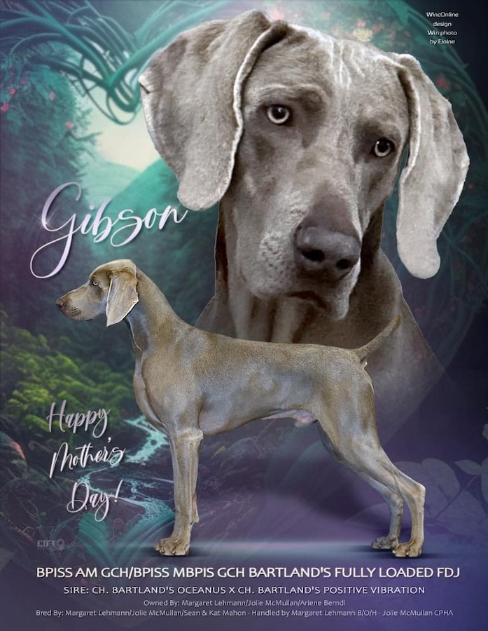 Gibson