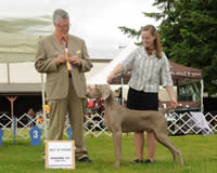 Nanaimo Kennel Club